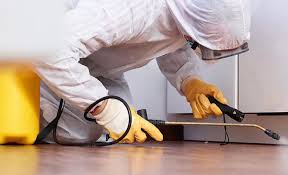 Best Pest Control for Multi-Family Homes  in Southchase, FL